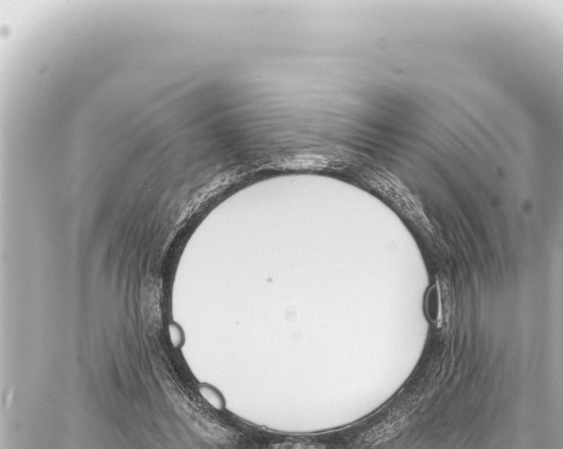 X0000086880300200705141417