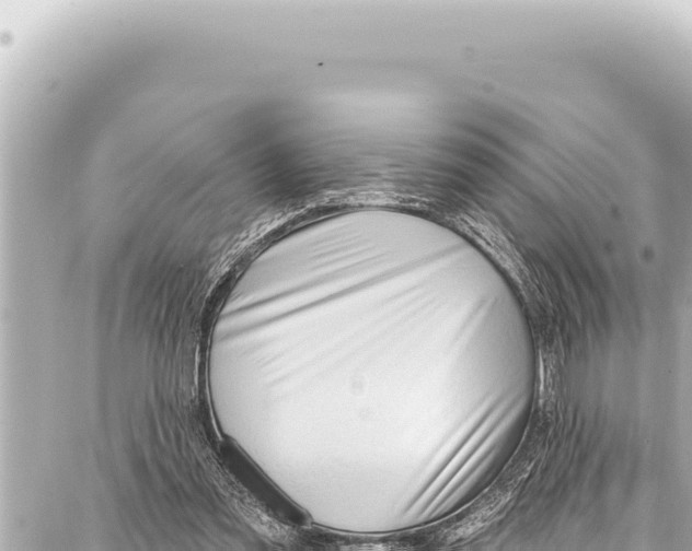 X0000086880301200705141417