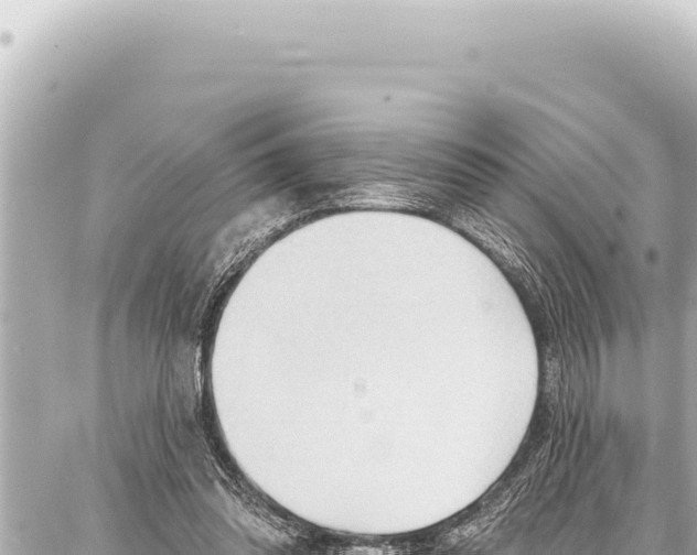 X0000086880302200705141417