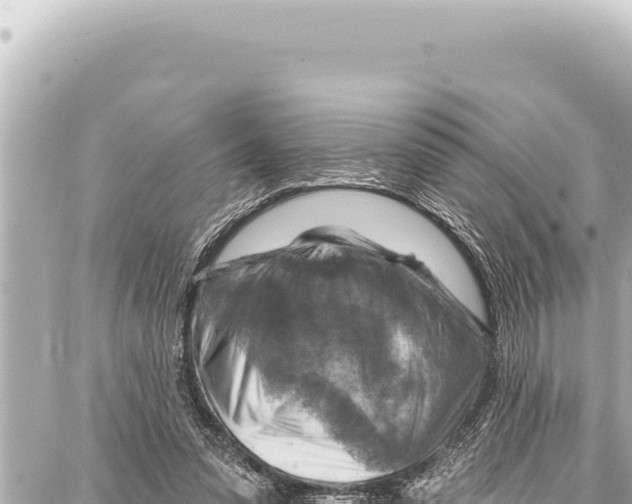 X0000086880303200705141417