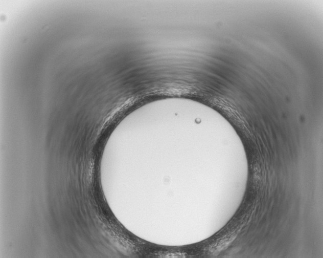 X0000086880304200705141417