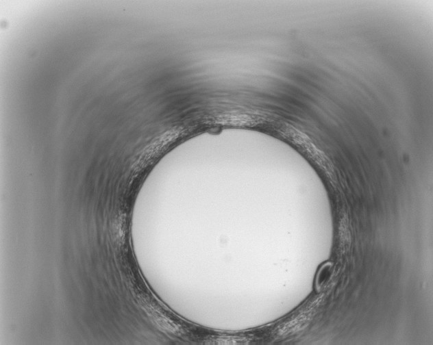 X0000086880305200705141417