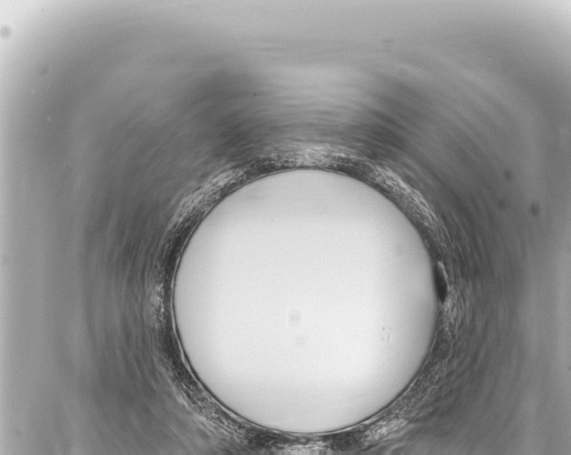 X0000086880306200705141417