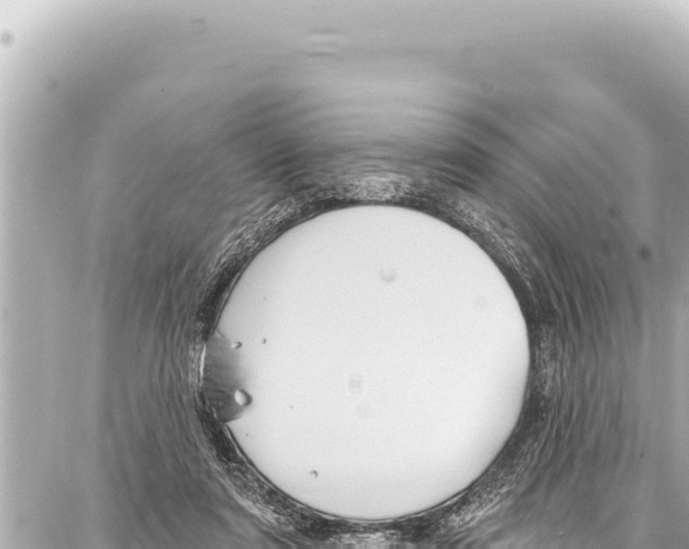 X0000086880307200705141417