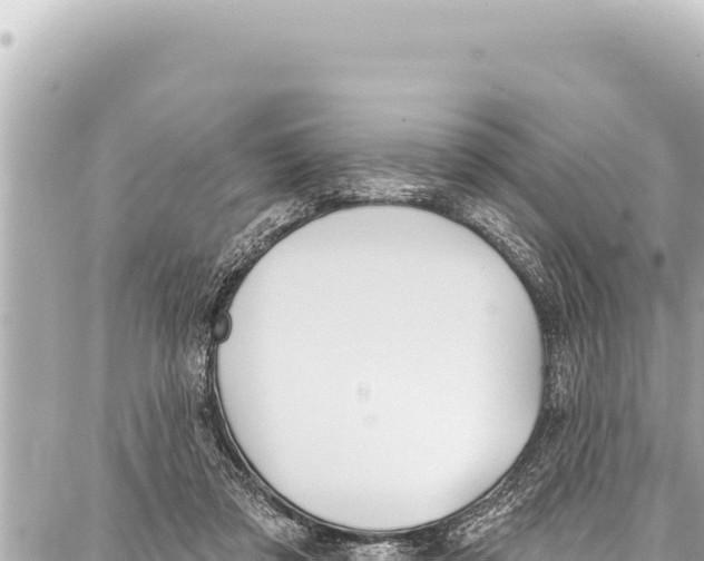 X0000086880309200705141417