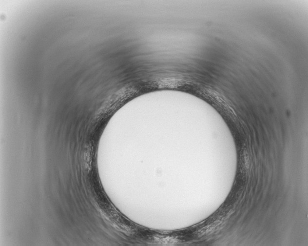 X0000086880311200705141417