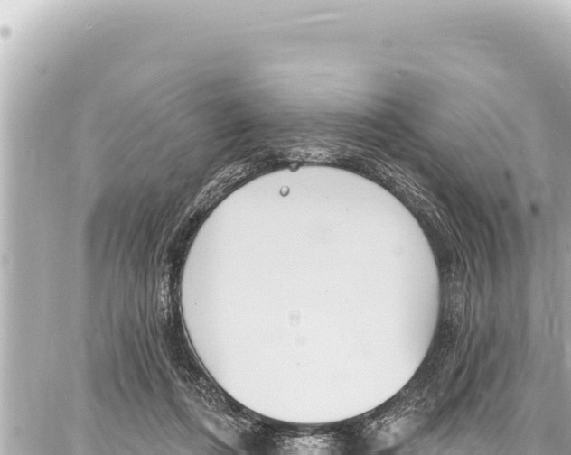 X0000086880312200705141417