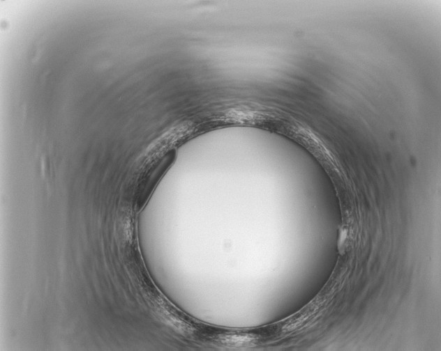 X0000086880313200705141417