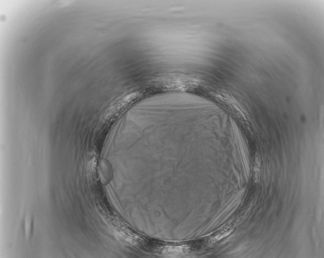 X0000086880314200705141417