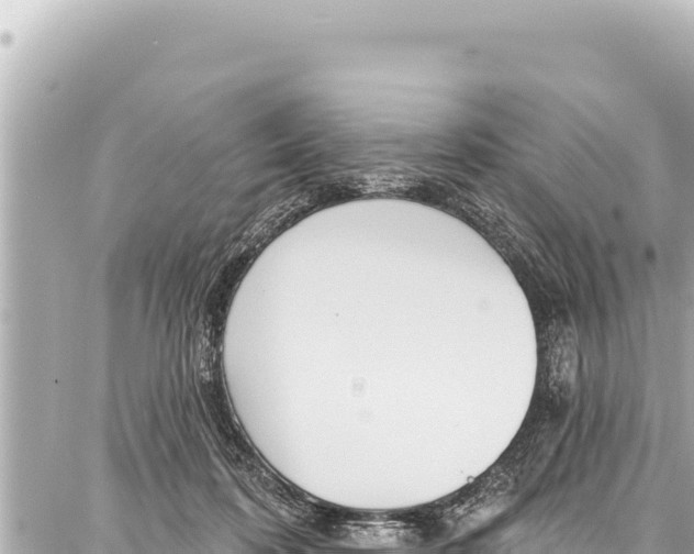 X0000086880316200705141417