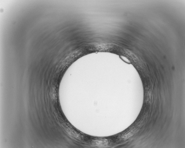 X0000086880317200705141417