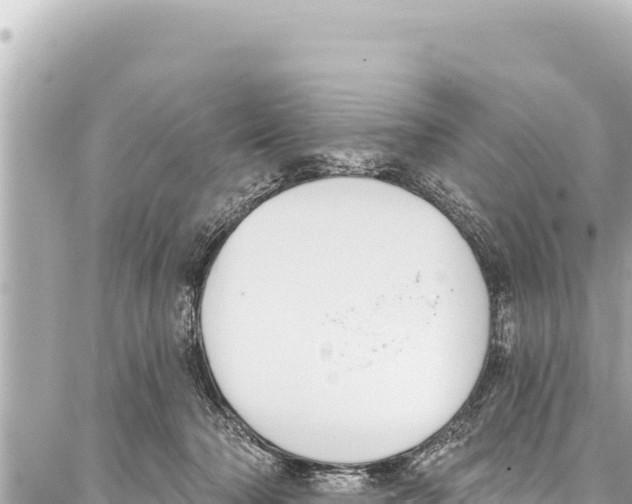 X0000086880318200705141417