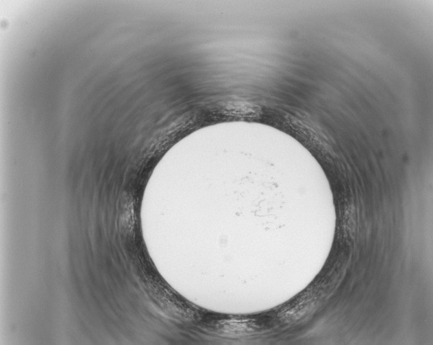 X0000086880320200705141417