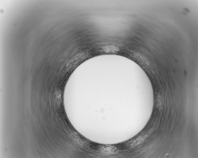 X0000086880321200705141417