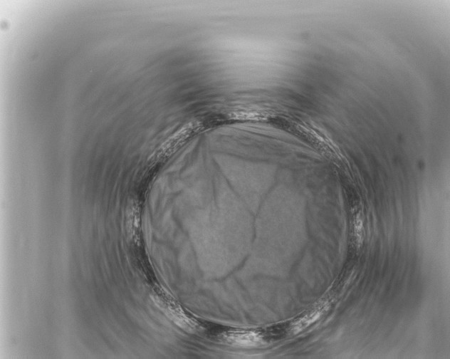 X0000086880322200705141417