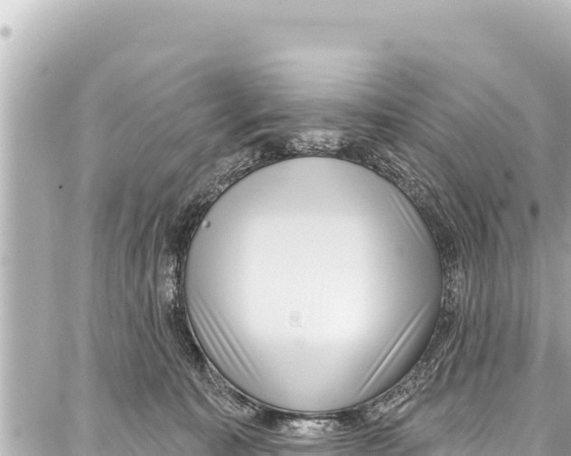 X0000086880323200705141417