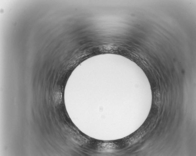 X0000086880324200705141417