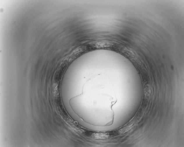 X0000086880327200705141417