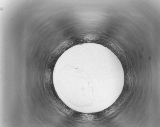 X0000086880328200705141417