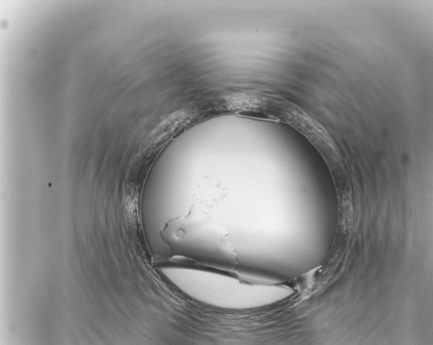 X0000086880329200705141416