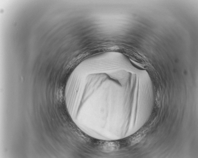 X0000086880330200705141416