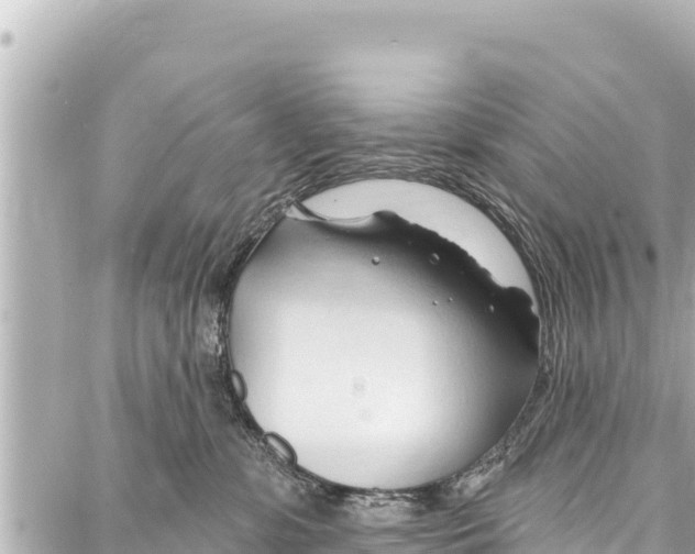 X0000086880331200705141416