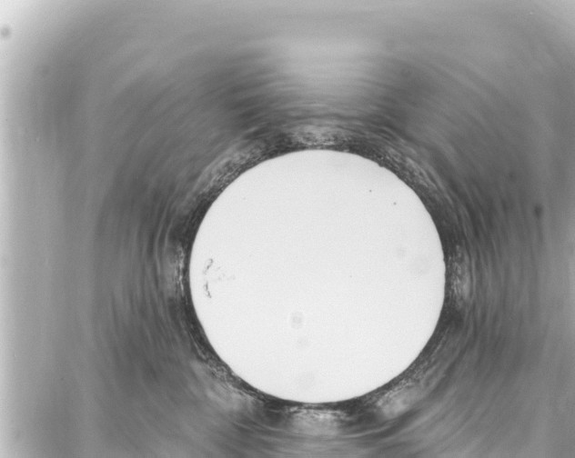 X0000086880332200705141416