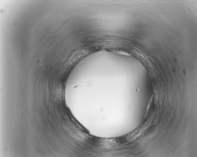 X0000086880333200705141416