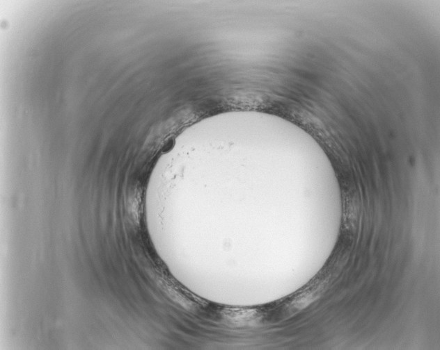 X0000086880334200705141416