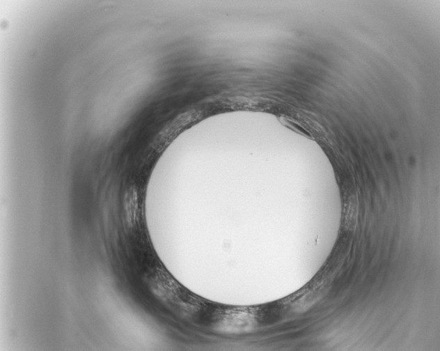 X0000086880335200705141416