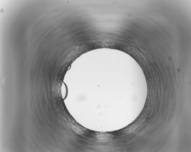 X0000086880336200705141416