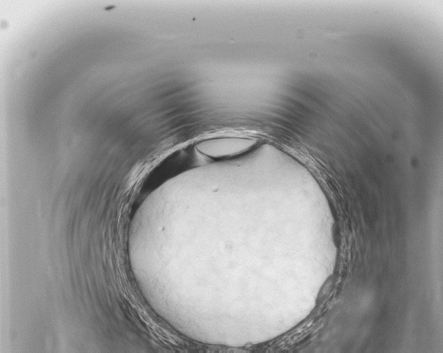 X0000086880337200705141416