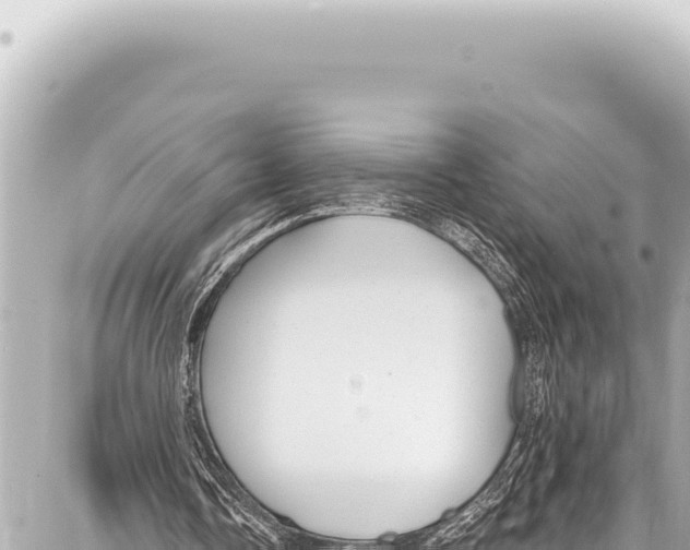 X0000086880338200705141416