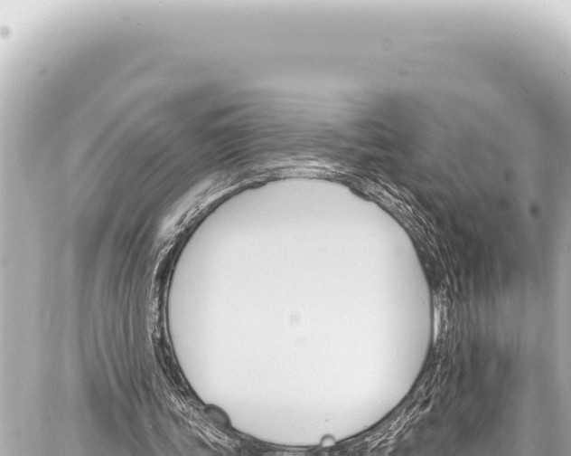 X0000086880339200705141416