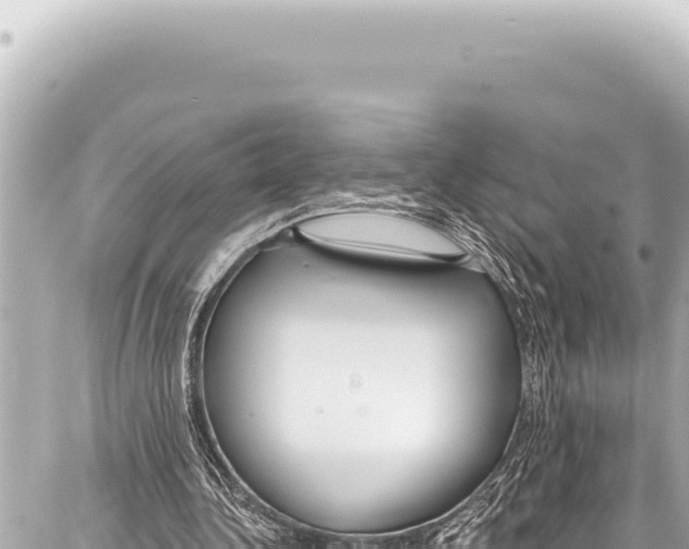 X0000086880340200705141416