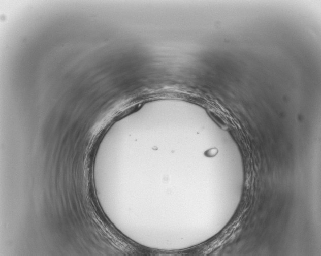 X0000086880341200705141416