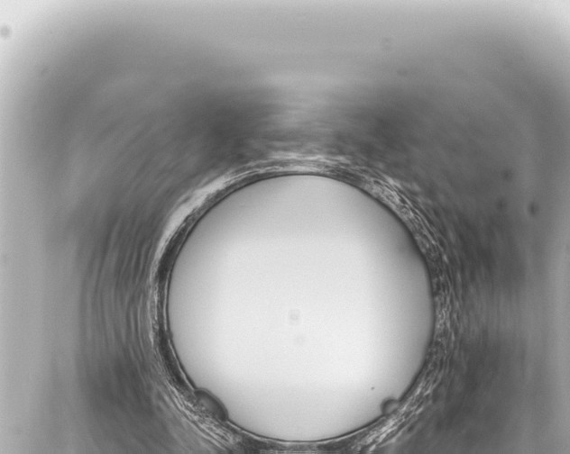 X0000086880342200705141416