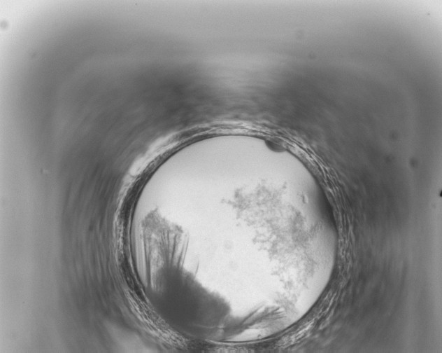 X0000086880343200705141416