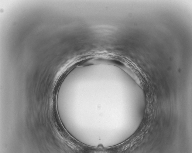 X0000086880344200705141416