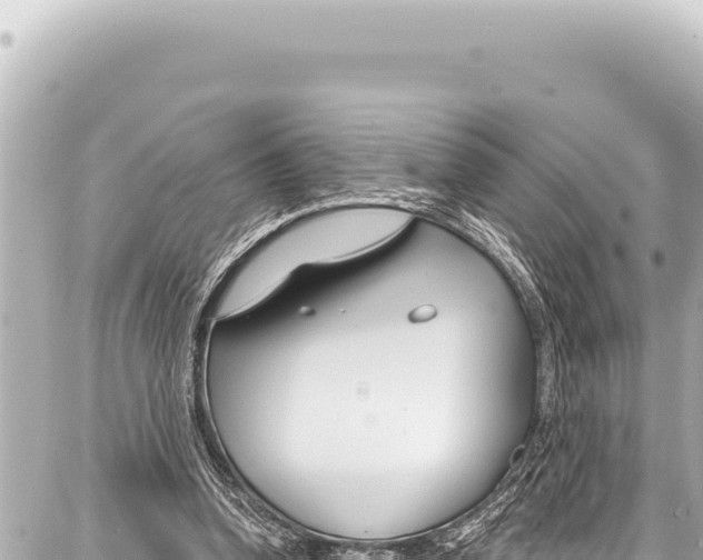 X0000086880346200705141416