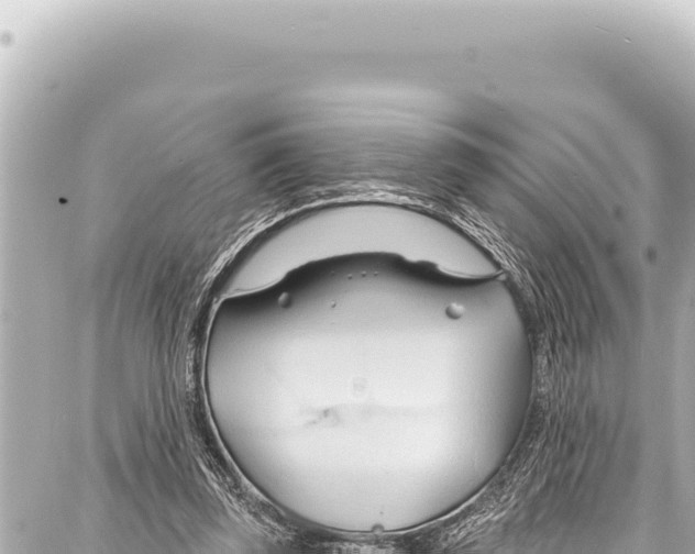 X0000086880347200705141416