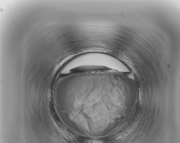 X0000086880348200705141416