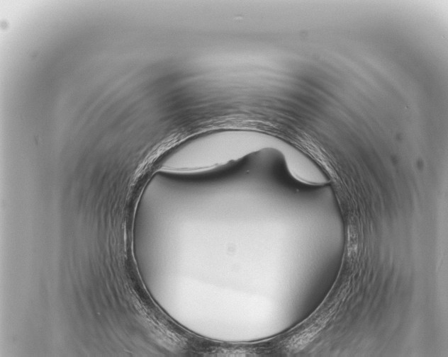 X0000086880349200705141416