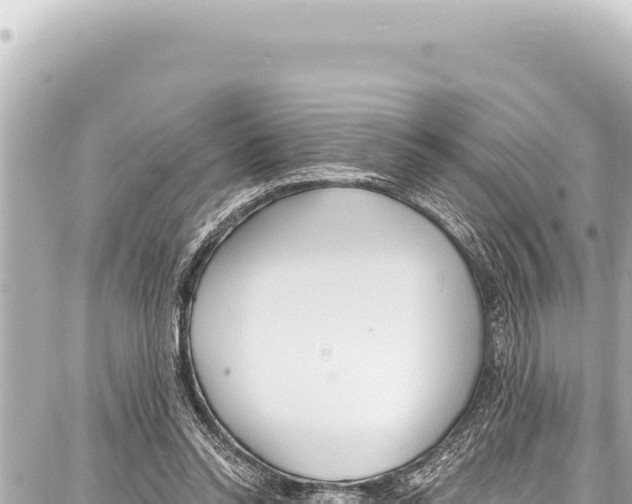 X0000086880350200705141416