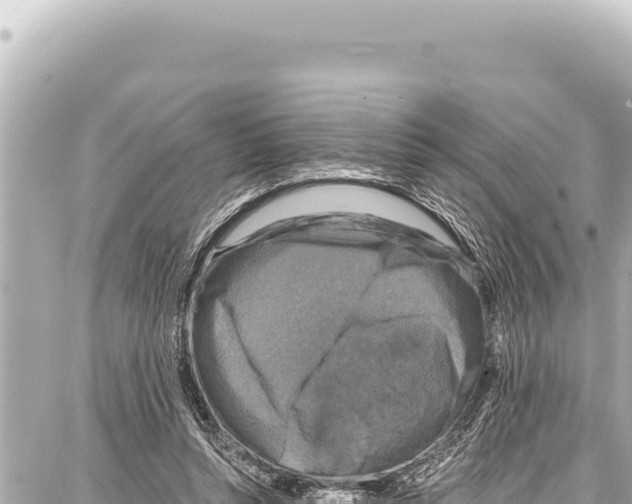 X0000086880352200705141416