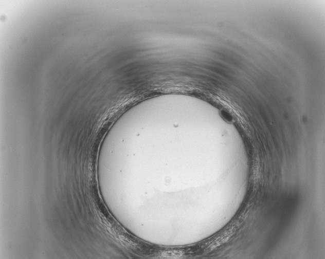 X0000086880353200705141416