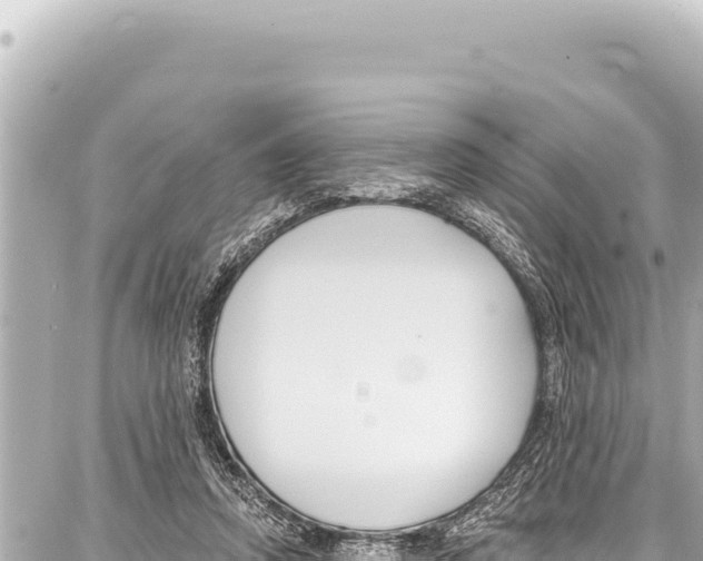 X0000086880354200705141416