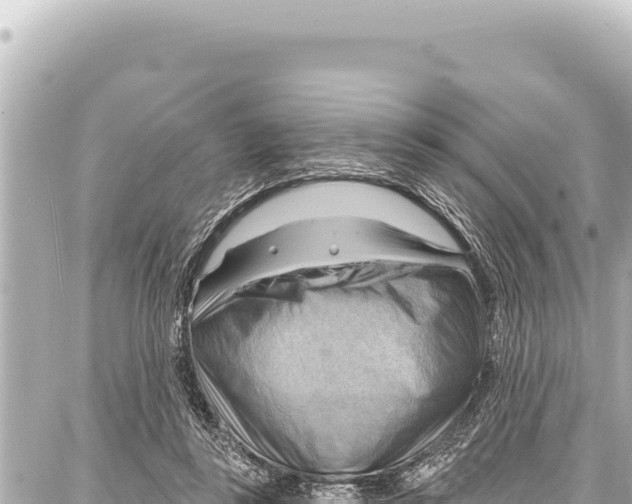 X0000086880355200705141416