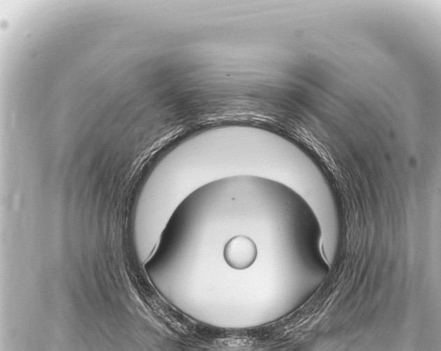 X0000086880356200705141416