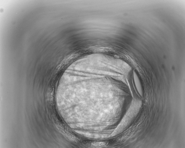 X0000086880357200705141416